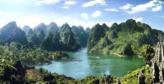 狐狸的旅程